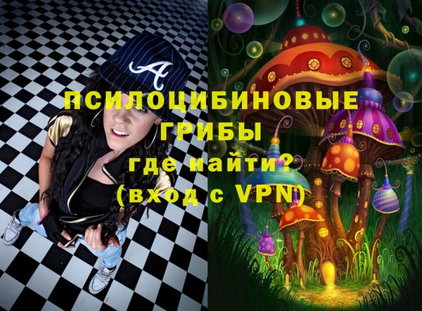 спайс Елизово