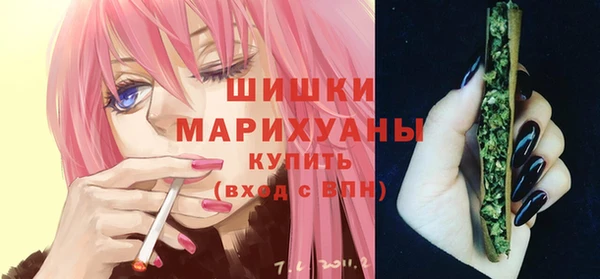 Альфа ПВП Ельня