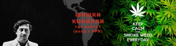 Альфа ПВП Ельня