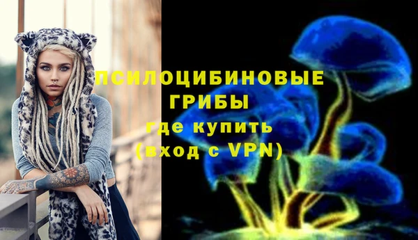 спайс Елизово