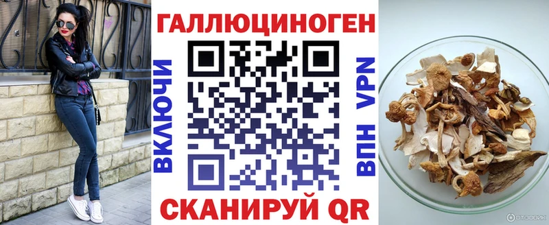 Купить где  Ишим  Псилоцибиновые грибы прущие грибы 