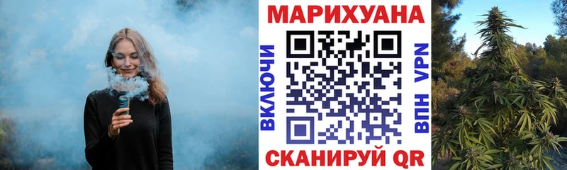 Купить закладки  Ишим  Каннабис SATIVA & INDICA 